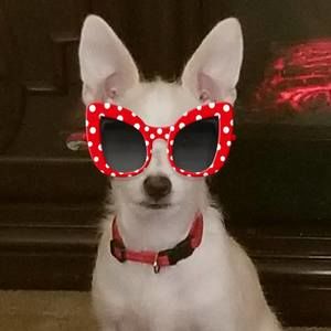 Meet your Posher, Joyce